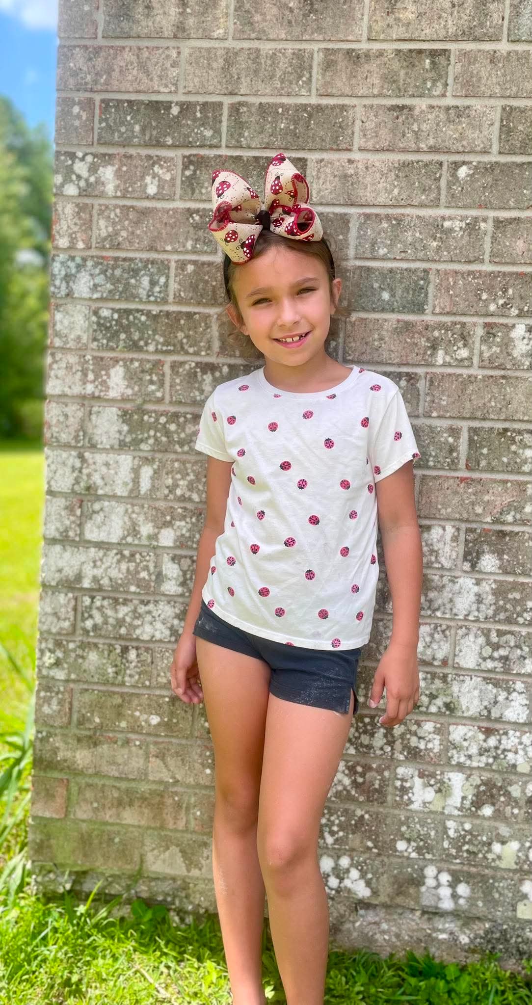 Little LadyBug