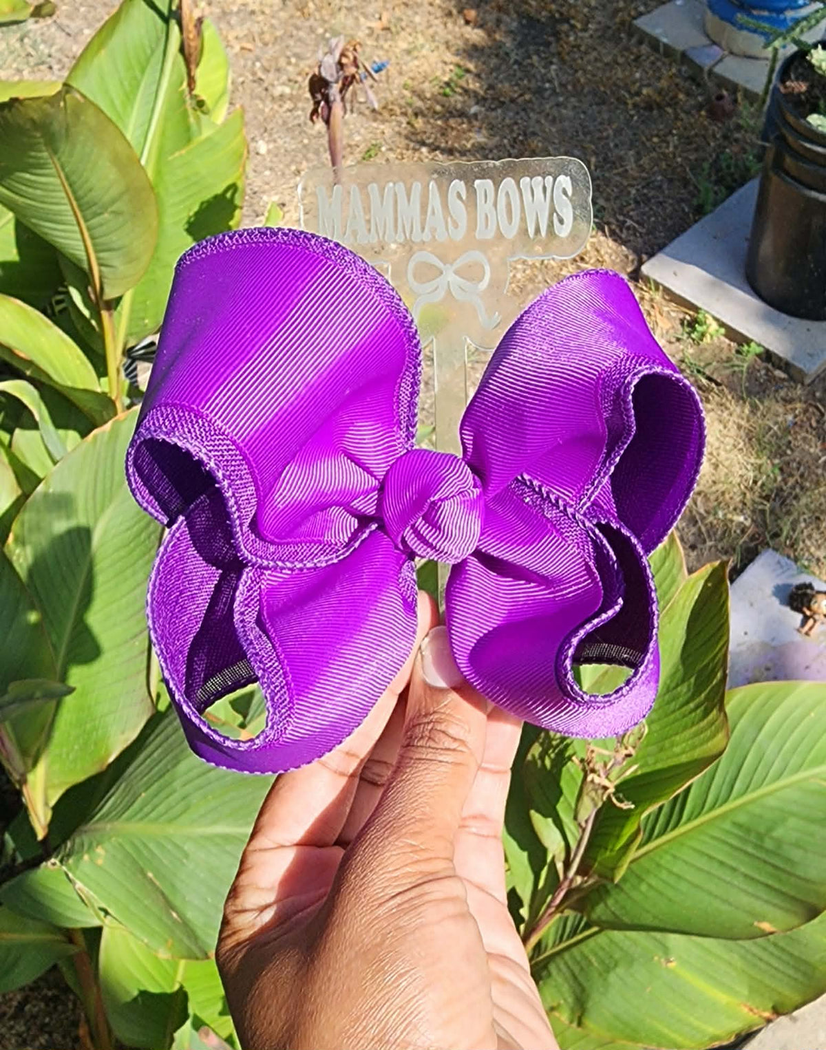 Pansy Purple