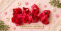 Ruby Ruffles Piggies